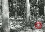 Image Fordlandia caoutchouc et l'exploitation forestière Brésil, 1932, de la seconde 31 séquences d'archives historiques vidéo 65675064723