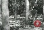 Image Fordlandia caoutchouc et l'exploitation forestière Brésil, 1932, de la seconde 32 séquences d'archives historiques vidéo 65675064723
