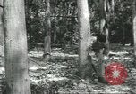 Image Fordlandia caoutchouc et l'exploitation forestière Brésil, 1932, de la seconde 33 séquences d'archives historiques vidéo 65675064723