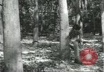 Image Fordlandia caoutchouc et l'exploitation forestière Brésil, 1932, de la seconde 34 séquences d'archives historiques vidéo 65675064723