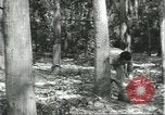 Image Fordlandia caoutchouc et l'exploitation forestière Brésil, 1932, de la seconde 35 séquences d'archives historiques vidéo 65675064723