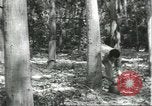 Image Fordlandia caoutchouc et l'exploitation forestière Brésil, 1932, de la seconde 36 séquences d'archives historiques vidéo 65675064723