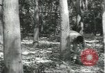 Image Fordlandia caoutchouc et l'exploitation forestière Brésil, 1932, de la seconde 37 séquences d'archives historiques vidéo 65675064723
