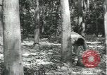 Image Fordlandia caoutchouc et l'exploitation forestière Brésil, 1932, de la seconde 38 séquences d'archives historiques vidéo 65675064723