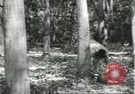 Image Fordlandia caoutchouc et l'exploitation forestière Brésil, 1932, de la seconde 39 séquences d'archives historiques vidéo 65675064723