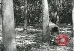 Image Fordlandia caoutchouc et l'exploitation forestière Brésil, 1932, de la seconde 40 séquences d'archives historiques vidéo 65675064723
