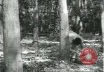 Image Fordlandia caoutchouc et l'exploitation forestière Brésil, 1932, de la seconde 41 séquences d'archives historiques vidéo 65675064723