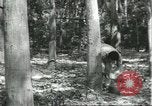 Image Fordlandia caoutchouc et l'exploitation forestière Brésil, 1932, de la seconde 43 séquences d'archives historiques vidéo 65675064723