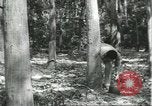 Image Fordlandia caoutchouc et l'exploitation forestière Brésil, 1932, de la seconde 44 séquences d'archives historiques vidéo 65675064723