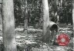Image Fordlandia caoutchouc et l'exploitation forestière Brésil, 1932, de la seconde 45 séquences d'archives historiques vidéo 65675064723