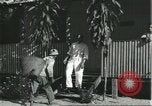 Image of Brazilian natives at market Brazil, 1932, second 7 stock footage video 65675064724