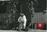 Image of Brazilian natives at market Brazil, 1932, second 9 stock footage video 65675064724
