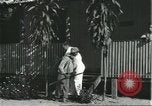 Image of Brazilian natives at market Brazil, 1932, second 10 stock footage video 65675064724