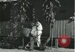 Image of Brazilian natives at market Brazil, 1932, second 12 stock footage video 65675064724
