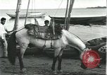 Image of Brazilian natives at market Brazil, 1932, second 55 stock footage video 65675064724