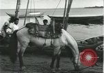 Image of Brazilian natives at market Brazil, 1932, second 56 stock footage video 65675064724