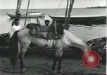 Image of Brazilian natives at market Brazil, 1932, second 57 stock footage video 65675064724