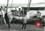Image of Brazilian natives at market Brazil, 1932, second 59 stock footage video 65675064724