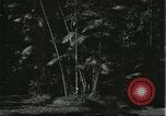 Standbild brasilianische Ureinwohner Brasilien, 1932, aus Sekunde 8 historischem Filmmaterial Videoclip 65675064727