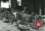 Standbild Arbeiter Dorf für Fordlandia Brasilien, 1932, aus Sekunde 50 historischem Filmmaterial Videoclip 65675064729