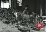 Standbild Arbeiter Dorf für Fordlandia Brasilien, 1932, aus Sekunde 51 historischem Filmmaterial Videoclip 65675064729