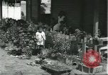 Standbild Arbeiter Dorf für Fordlandia Brasilien, 1932, aus Sekunde 53 historischem Filmmaterial Videoclip 65675064729