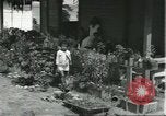 Standbild Arbeiter Dorf für Fordlandia Brasilien, 1932, aus Sekunde 54 historischem Filmmaterial Videoclip 65675064729