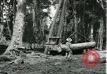 Standbild Fordlandia Gummi Wälder Brasilien, 1932, aus Sekunde 3 historischem Filmmaterial Videoclip 65675064731