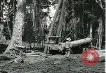 Standbild Fordlandia Gummi Wälder Brasilien, 1932, aus Sekunde 4 historischem Filmmaterial Videoclip 65675064731