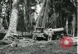 Standbild Fordlandia Gummi Wälder Brasilien, 1932, aus Sekunde 5 historischem Filmmaterial Videoclip 65675064731