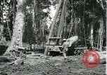 Standbild Fordlandia Gummi Wälder Brasilien, 1932, aus Sekunde 6 historischem Filmmaterial Videoclip 65675064731