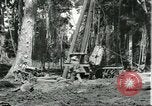 Standbild Fordlandia Gummi Wälder Brasilien, 1932, aus Sekunde 7 historischem Filmmaterial Videoclip 65675064731