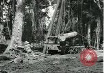 Standbild Fordlandia Gummi Wälder Brasilien, 1932, aus Sekunde 9 historischem Filmmaterial Videoclip 65675064731