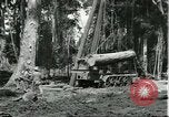 Standbild Fordlandia Gummi Wälder Brasilien, 1932, aus Sekunde 10 historischem Filmmaterial Videoclip 65675064731