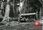 Standbild Fordlandia Gummi Wälder Brasilien, 1932, aus Sekunde 11 historischem Filmmaterial Videoclip 65675064731