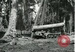 Standbild Fordlandia Gummi Wälder Brasilien, 1932, aus Sekunde 12 historischem Filmmaterial Videoclip 65675064731