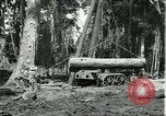 Standbild Fordlandia Gummi Wälder Brasilien, 1932, aus Sekunde 13 historischem Filmmaterial Videoclip 65675064731