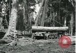 Standbild Fordlandia Gummi Wälder Brasilien, 1932, aus Sekunde 14 historischem Filmmaterial Videoclip 65675064731