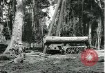 Standbild Fordlandia Gummi Wälder Brasilien, 1932, aus Sekunde 16 historischem Filmmaterial Videoclip 65675064731