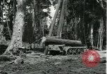 Standbild Fordlandia Gummi Wälder Brasilien, 1932, aus Sekunde 18 historischem Filmmaterial Videoclip 65675064731