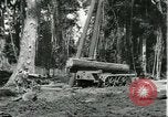 Standbild Fordlandia Gummi Wälder Brasilien, 1932, aus Sekunde 19 historischem Filmmaterial Videoclip 65675064731