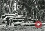 Standbild Fordlandia Gummi Wälder Brasilien, 1932, aus Sekunde 20 historischem Filmmaterial Videoclip 65675064731