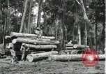 Standbild Fordlandia Gummi Wälder Brasilien, 1932, aus Sekunde 21 historischem Filmmaterial Videoclip 65675064731