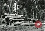 Standbild Fordlandia Gummi Wälder Brasilien, 1932, aus Sekunde 22 historischem Filmmaterial Videoclip 65675064731