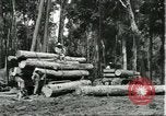 Standbild Fordlandia Gummi Wälder Brasilien, 1932, aus Sekunde 23 historischem Filmmaterial Videoclip 65675064731