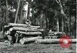 Standbild Fordlandia Gummi Wälder Brasilien, 1932, aus Sekunde 24 historischem Filmmaterial Videoclip 65675064731