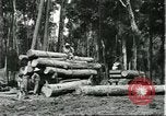Standbild Fordlandia Gummi Wälder Brasilien, 1932, aus Sekunde 25 historischem Filmmaterial Videoclip 65675064731