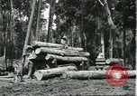 Standbild Fordlandia Gummi Wälder Brasilien, 1932, aus Sekunde 26 historischem Filmmaterial Videoclip 65675064731