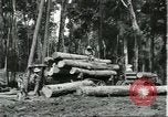 Standbild Fordlandia Gummi Wälder Brasilien, 1932, aus Sekunde 27 historischem Filmmaterial Videoclip 65675064731