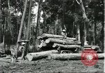 Standbild Fordlandia Gummi Wälder Brasilien, 1932, aus Sekunde 28 historischem Filmmaterial Videoclip 65675064731